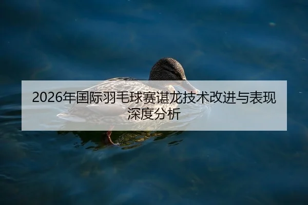 2026年国际羽毛球赛谌龙技术改进与表现深度分析