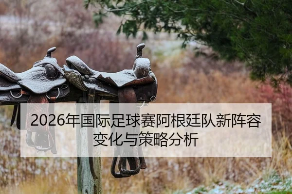 nian-guo-ji-zu-qiu-sai-a-gen-ting-dui-xin-zhen-rong-bian-hua-yu-ce-lve-fen-xi-1-565.jpg