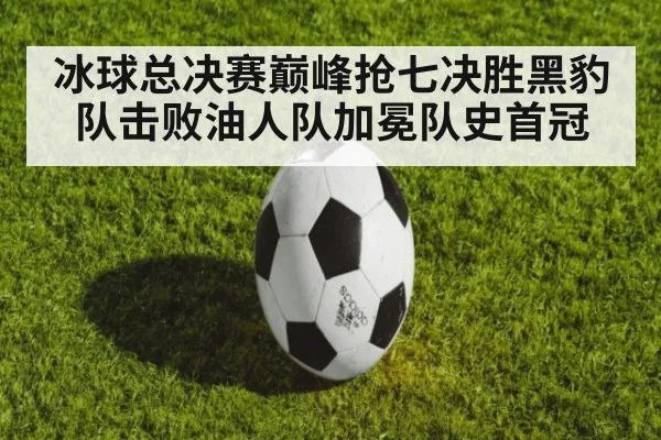 冰球总决赛巅峰抢七决胜黑豹队击败油人队加冕队史首冠